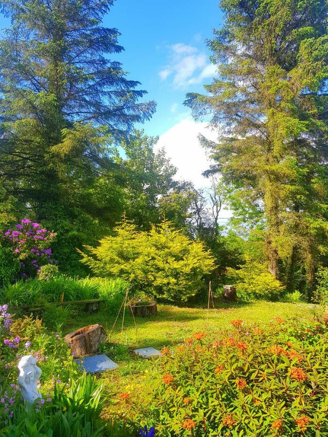 Гостьовий будинок Leenan View Country House Портсалон Екстер'єр фото